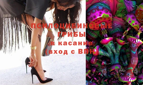 2c-b Алзамай