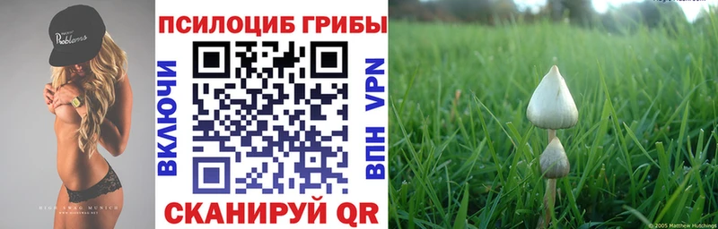 Псилоцибиновые грибы мицелий Боготол